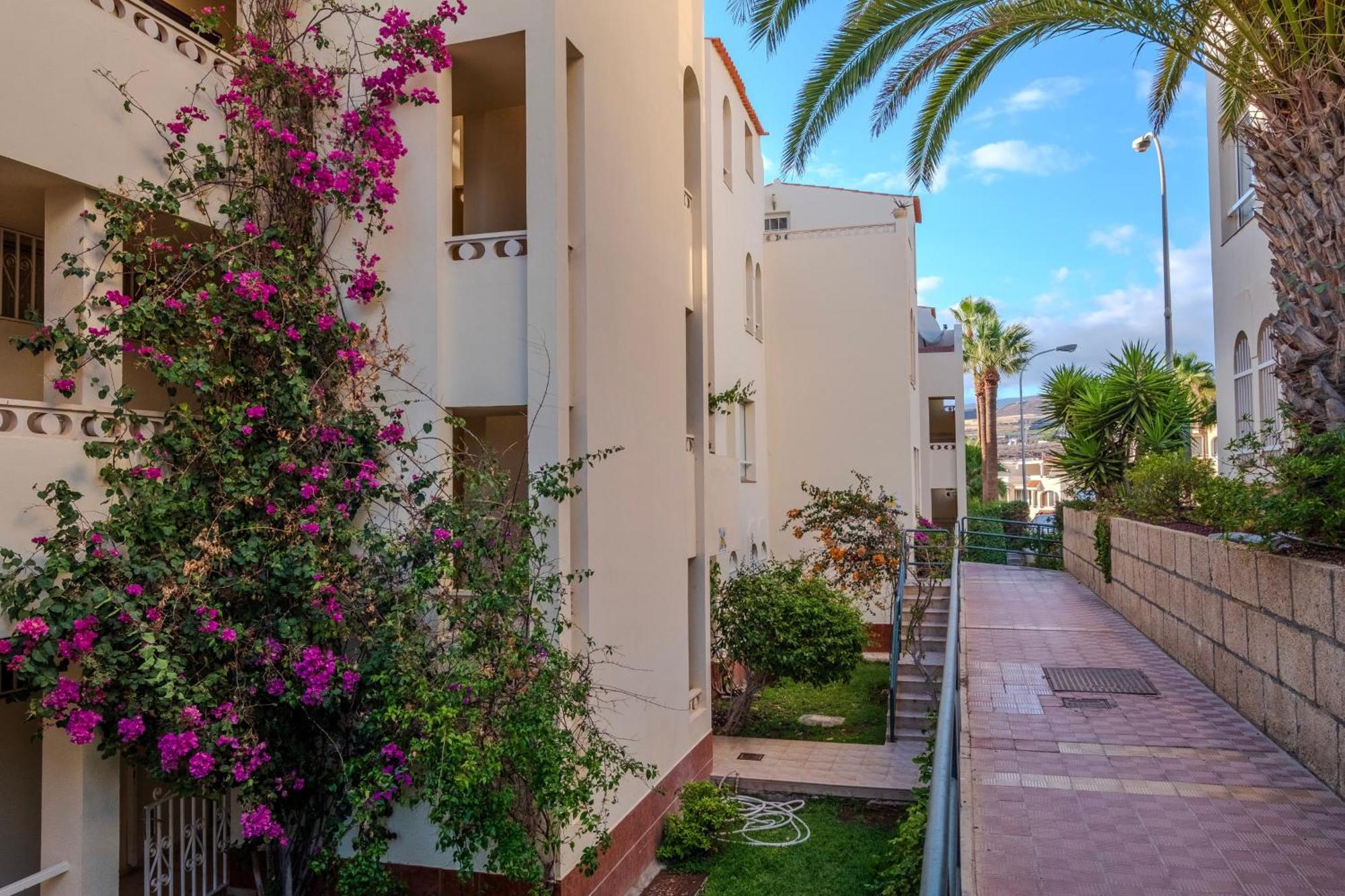 Tenerife Lizards - Apartment In The First Line كالاو سالفاجي المظهر الخارجي الصورة
